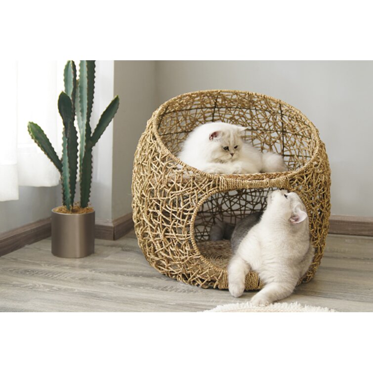 Twin cat cheap bed